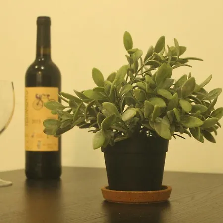 Appartement Anjos - Ilha Do Principe